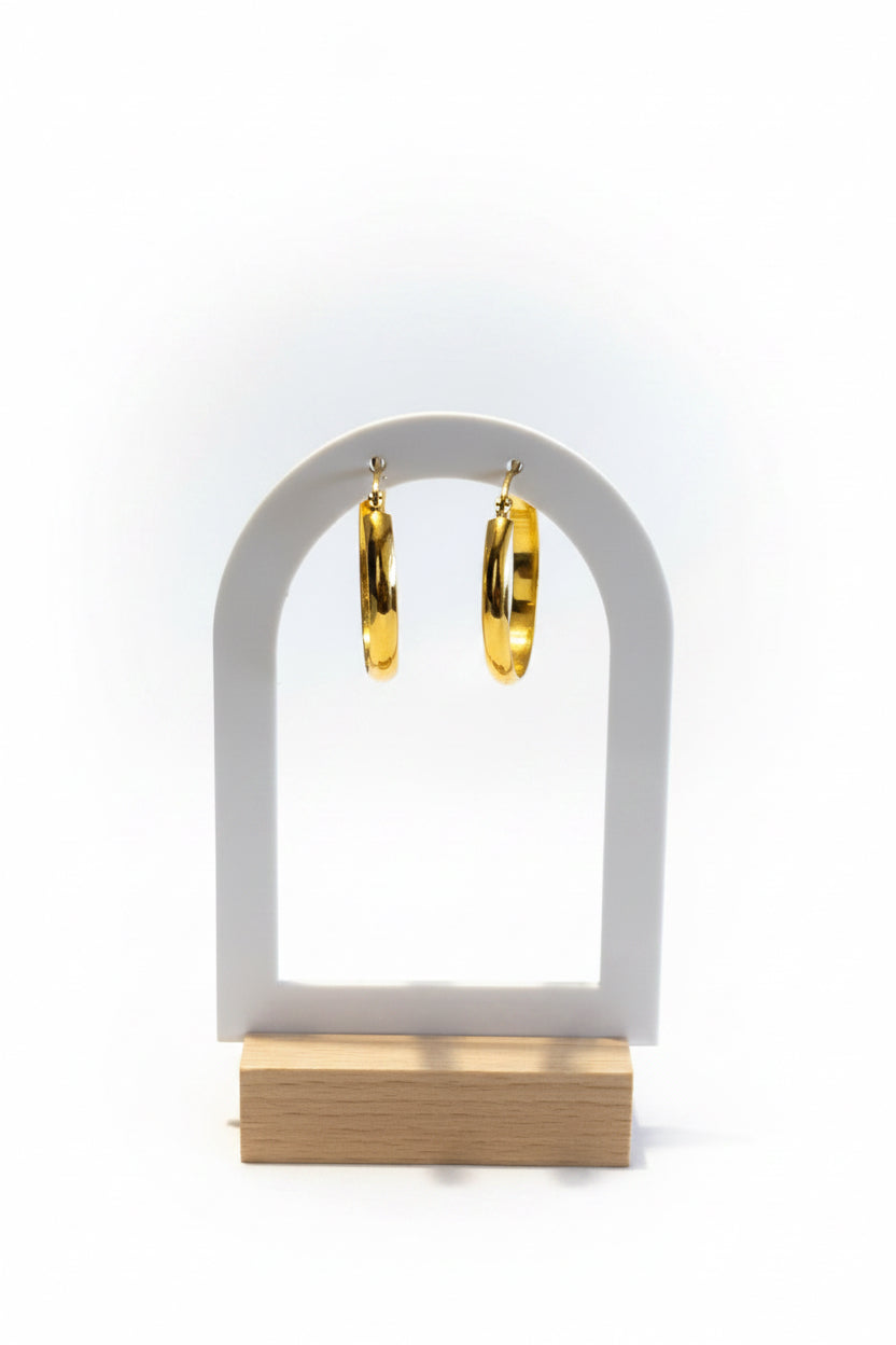 Aretes Naya